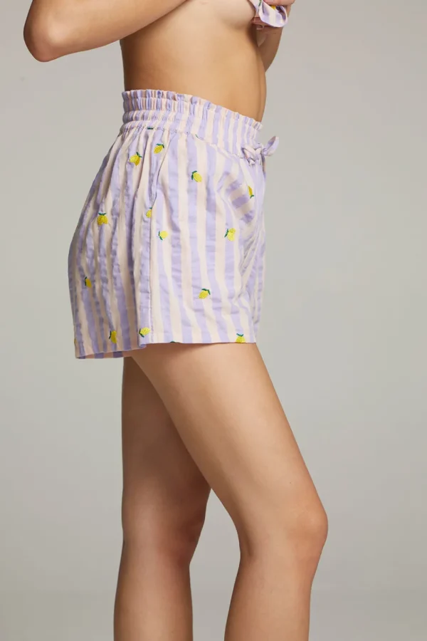 Cheap Allover Lemons Shorts Women Loungewear | Graphics