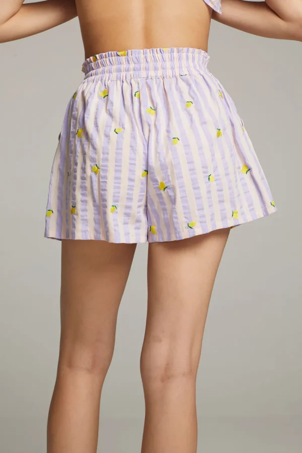 Cheap Allover Lemons Shorts Women Loungewear | Graphics