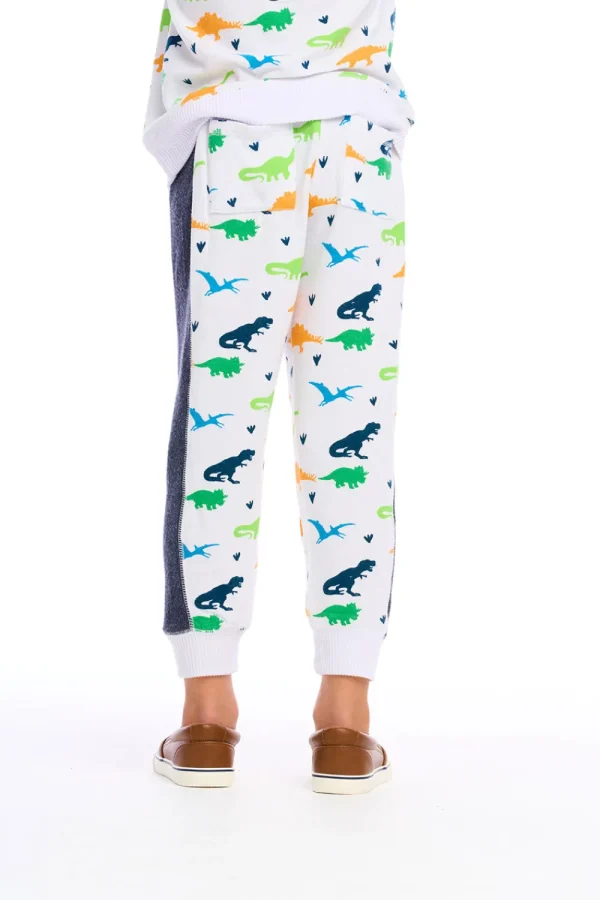 Store Dino Jogger Kids/BOY Boys